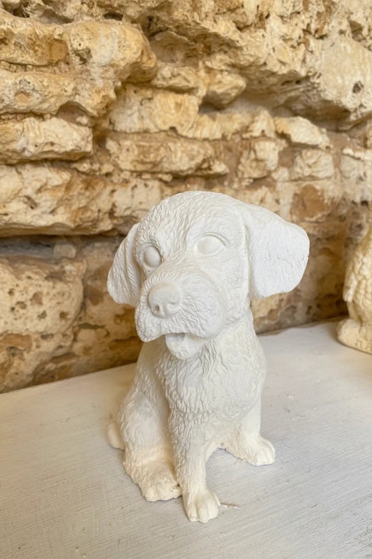 Cagnolino In Tufo Locale - Dimensione Media